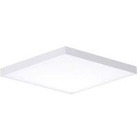 Ceiling Mounted Light 10-1/2" Width Ceiling Mounted Light 10-1/2" Width