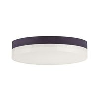 Flush Mount Ceiling Light 9" Width Flush Mount Ceiling Light 9" Width