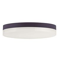 Flush Mount Ceiling Light 11" Width Flush Mount Ceiling Light 11" Width