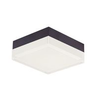 Flush Mount Ceiling Light 4-3/4" Width Flush Mount Ceiling Light 4-3/4" Width