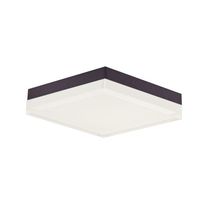 Flush Mount Ceiling Light 8-1/2" Width Flush Mount Ceiling Light 8-1/2" Width