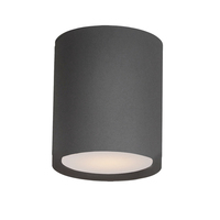 Ceiling Mounted Light 5" Width Ceiling Mounted Light 5" Width