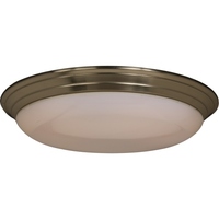 Flush Mount Ceiling Light 24-1/2" Width Flush Mount Ceiling Light 24-1/2" Width
