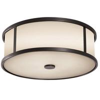 Ceiling Mounted Light 14" Width