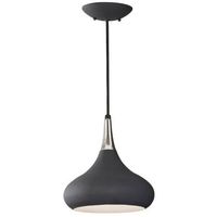 Down Light Pendant 10" Width Down Light Pendant 10" Width