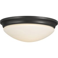 Flush Mount Ceiling Light 14" Width