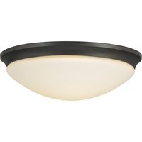 Flush Mount Ceiling Light 16-1/2" Width