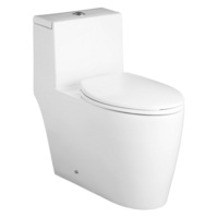 One Piece Toilet Elongated bowl|Compact Elongated One Piece Toilet Elongated bowl|Compact Elongated