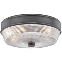 Flush Mount Ceiling Light 10-1/4" Width