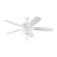 Large Ceiling Fan