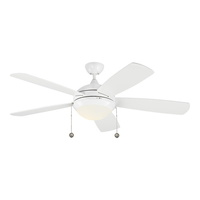 Large Ceiling Fan
