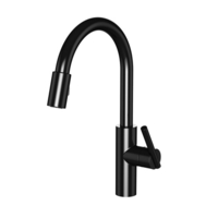 Pull-Out Spray Kitchen Faucet Single Hole Pull-Out Spray Kitchen Faucet Single Hole