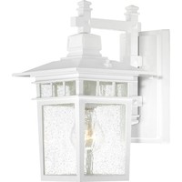 Outdoor Wall Light 11-3/4" Height