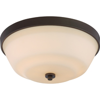 Flush Mount Ceiling Light 13-1/2" Width