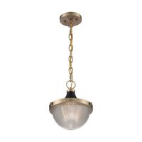 Down Light Pendant 10" Width