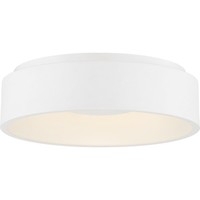 Flush Mount Ceiling Light 17-3/4" Width