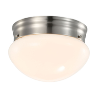 Flush Mount Ceiling Light
