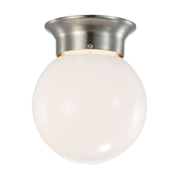 Flush Mount Ceiling Light