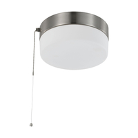 Flush Mount Ceiling Light