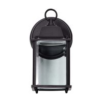 Outdoor Wall Light 8-2/3" Height