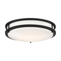 Flush Mount Ceiling Light