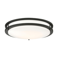 Flush Mount Ceiling Light