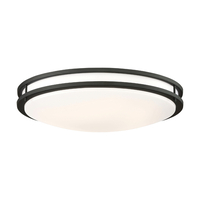 Flush Mount Ceiling Light