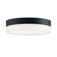 Flush Mount Ceiling Light