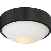 Flush Mount Ceiling Light 9" Width Flush Mount Ceiling Light 9" Width