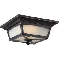 Ceiling Mounted Light 11" Width Ceiling Mounted Light 11" Width