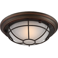 Ceiling Mounted Light Ceiling Mounted Light