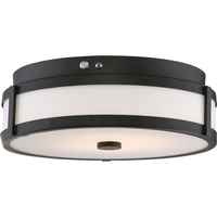 Flush Mount Ceiling Light 14" Width Flush Mount Ceiling Light 14" Width