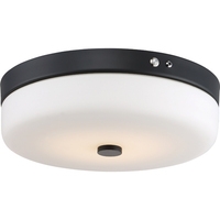 Flush Mount Ceiling Light 15" Width Flush Mount Ceiling Light 15" Width
