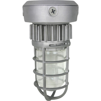 Ceiling Mounted Light Ceiling Mounted Light