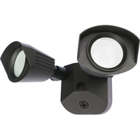Outdoor Wall Light