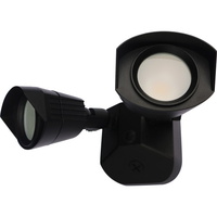 Outdoor Wall Light