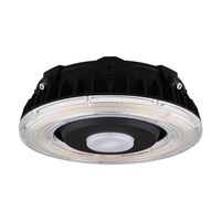 Ceiling Mounted Light 10" Width Ceiling Mounted Light 10" Width