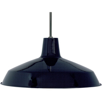 Down Light Pendant 16" Width Down Light Pendant 16" Width