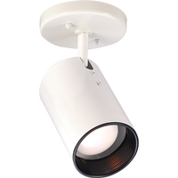 Flush Mount Ceiling Light