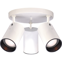 Flush Mount Ceiling Light 14" Width