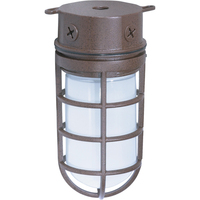 Ceiling Mounted Light 4-1/4" Width Ceiling Mounted Light 4-1/4" Width