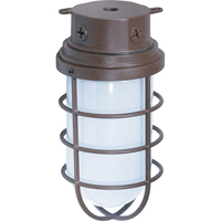 Ceiling Mounted Light 5-1/2" Width Ceiling Mounted Light 5-1/2" Width