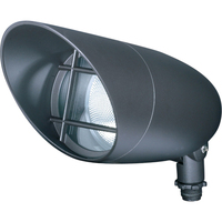 Accent Lighting Accent Lighting