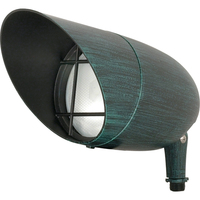 Accent Lighting Accent Lighting