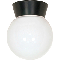Ceiling Mounted Light 6" Width Ceiling Mounted Light 6" Width