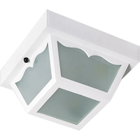 Ceiling Mounted Light 8-1/4" Width Ceiling Mounted Light 8-1/4" Width