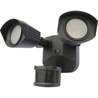 Outdoor Wall Light