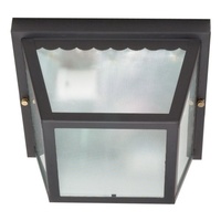 Ceiling Mounted Light 9-1/4" Width Ceiling Mounted Light 9-1/4" Width