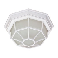 Ceiling Mounted Light 11-3/8" Width