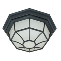Ceiling Mounted Light 11-3/8" Width Ceiling Mounted Light 11-3/8" Width